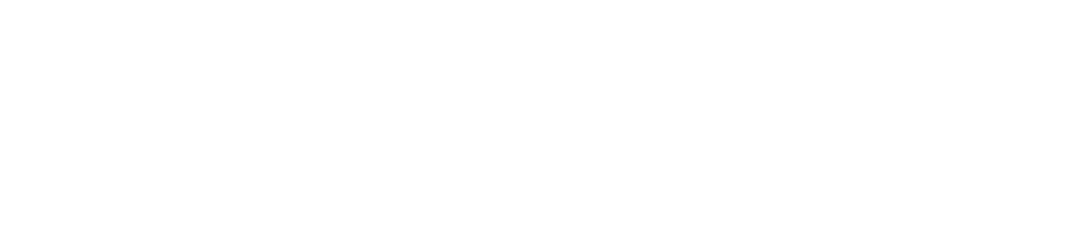 DIG logo